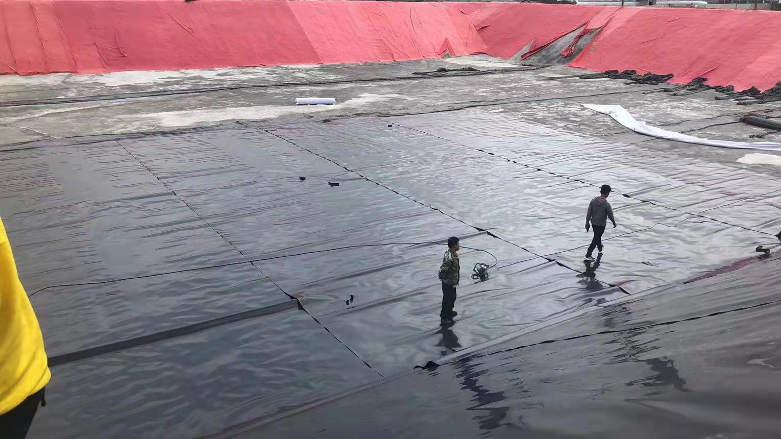 1648087549356081.jpg 90d2129a9b4c224bf8a930d608eab0a.jpg