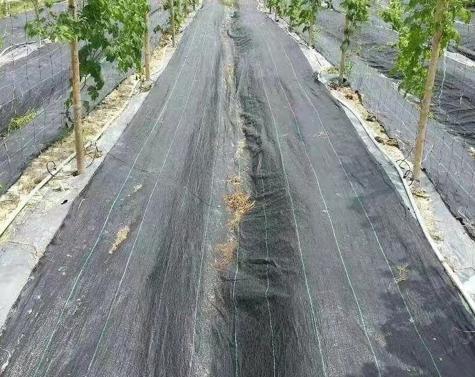 防草布的用途及效果防草布又稱之為“園林地布”、“雜草抑 制席”、“抑草布”，是一種縱橫編織的塑料編織布，透氣性好、滲水快、防水 治雜草生長的一種園藝和農(nóng)業(yè)用地面防草布。可以有 效抑制各種雜草的生長，由于這種地面防草布的透氣性好，滲水快，使得植物根部的吸收水分能力得到提高，有益于植物的生長，防止根部腐爛，單相線標(biāo)志的設(shè)置，使的在溫室內(nèi)或室外擺放花盆或安排栽培基質(zhì)時，可根據(jù)標(biāo)志線來準(zhǔn)確進行安排，提高勞