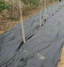 防草布是什么材料做的