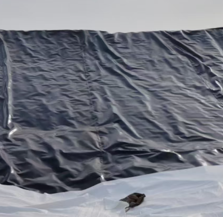 長絲和短絲的區(qū)別有哪些.